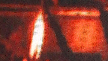 Michel Brown aparecerá en 'Pasión de Gavilanes II' | Mezcalent