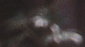 Adela Noriega tiene más de 10 años sin aparecer en pantalla | Mezcalent