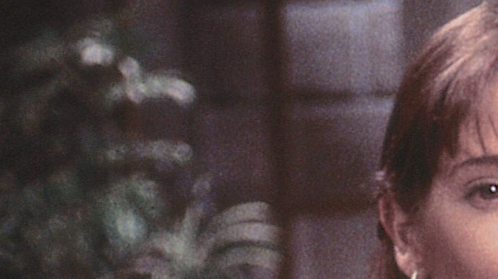 Adela Noriega tiene más de 10 años sin aparecer en pantalla | Mezcalent