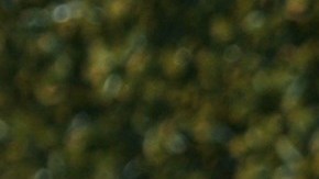 Geraldine Bazán en el programa "Por Ellas" de Univisión | Mezcalent