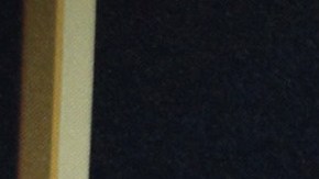 Aylín Mujica | Mezcalent