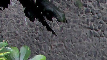 Enrique Rocha murió a los 81 años, pero se desconoce las causas de su deceso | Mezcalent