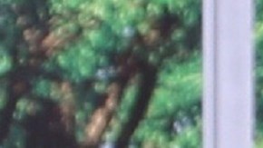 Rashel Díaz y Adamari López en "Un Nuevo Día" | Mezcalent