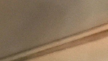 Alicia Machado | Mezcalent