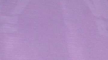 Sofía Aragón tuvo neumonía | Mezcalent