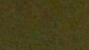 Octavio Ocaña | Mezcalent