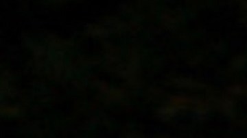 Vicente Fernández Jr. | Mezcalent