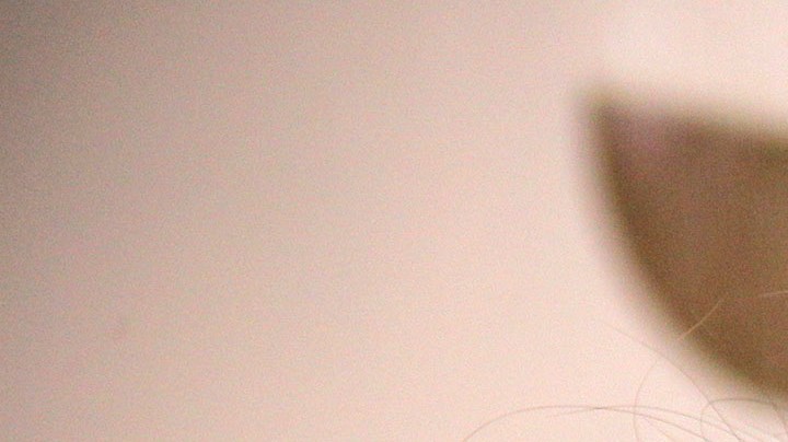 Lucila Mariscal sufrió un accidente en su casa | Mezcalent