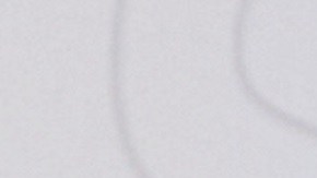 Adamari López | Mezcalent