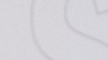 Adamari López | Mezcalent