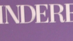 10501-CARMEN-VILLALOBOS-CINDERELLAVC5A6837