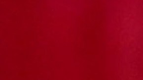 Vicente Fernández | Mezcalent