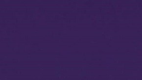 Alicia Machado | Mezcalent