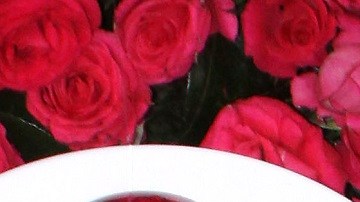 Barbara de Regil | Mezcalent