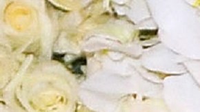 Michelle Salas | Mezcalent