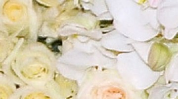 Michelle Salas | Mezcalent