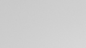 Carlos Rivera | Mezcalent