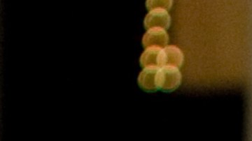 Daniella Álvarez | Luis Robayo/Getty Images