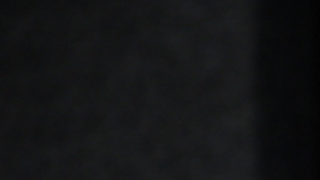 Adamari López | Mezcalent