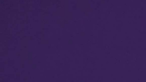 Alicia Machado | Mezcalent