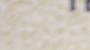 Gaby Espino | Mezcalent