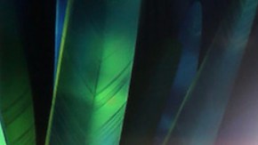 Evaluna y Camilo | Mezcalent