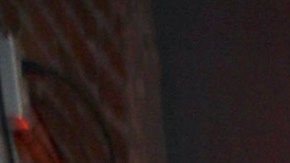 Gaby Spanic | Mezcalent