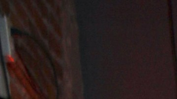 Gaby Spanic | Mezcalent