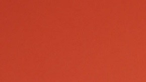 María Celeste Arrarás | Rodrigo Varela/Getty Images