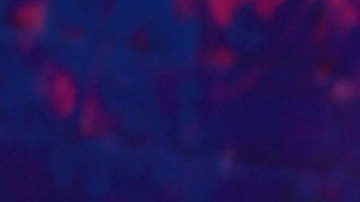 Jay Wheeler | Alberto Tamargo/Getty Images