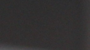 Ninel Conde | Mezcalent