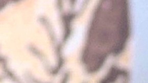 Vicente Fernández | Mezcalent