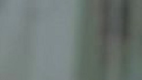 Lorenzo Méndez | Mezcalent