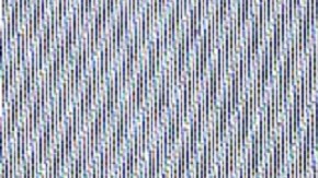 Manelyk González | Mezcalent