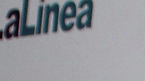 Diego Verdaguer y Amanda Miguel tenían 46 años juntos | Mezcalent