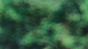 Héctor Sandarti y Adamari López | Mezcalent