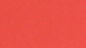 Francisca Lachapel | Mezcalent