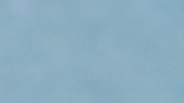 Gaby Espino | Mezcalent