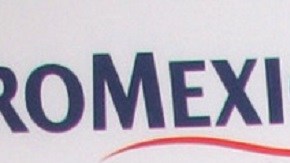 Geraldine Bazán | Mezcalent