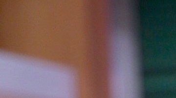 Francisca Lachapel | Mezcalent