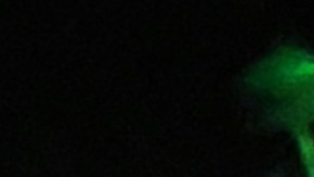 Alejandro Fernández, hijo de Vicente Fernández