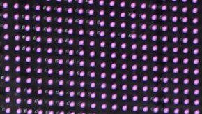 Aleyda Ortiz | Mezcalent