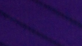 Carmen Muñoz | Mezcalent