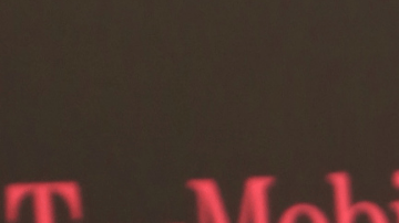 Ninel Conde| Mezcalent