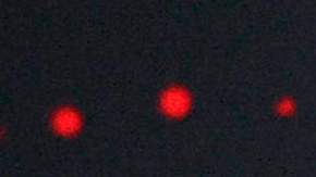 Galilea Montijo | Mezcalent