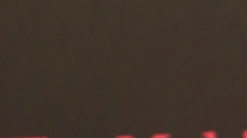 Ninel Conde | Mezcalent