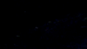 Ricky Montaner | Mezcalent