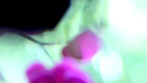 Ricardo Montaner | Mezcalent