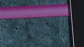 Clarissa Molina | Mezcalent