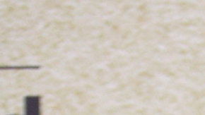 William Levy | Mezcalent